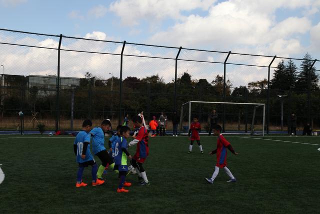 官方：阿莫林正式接任曼联 代理主帅鲁德已经离队